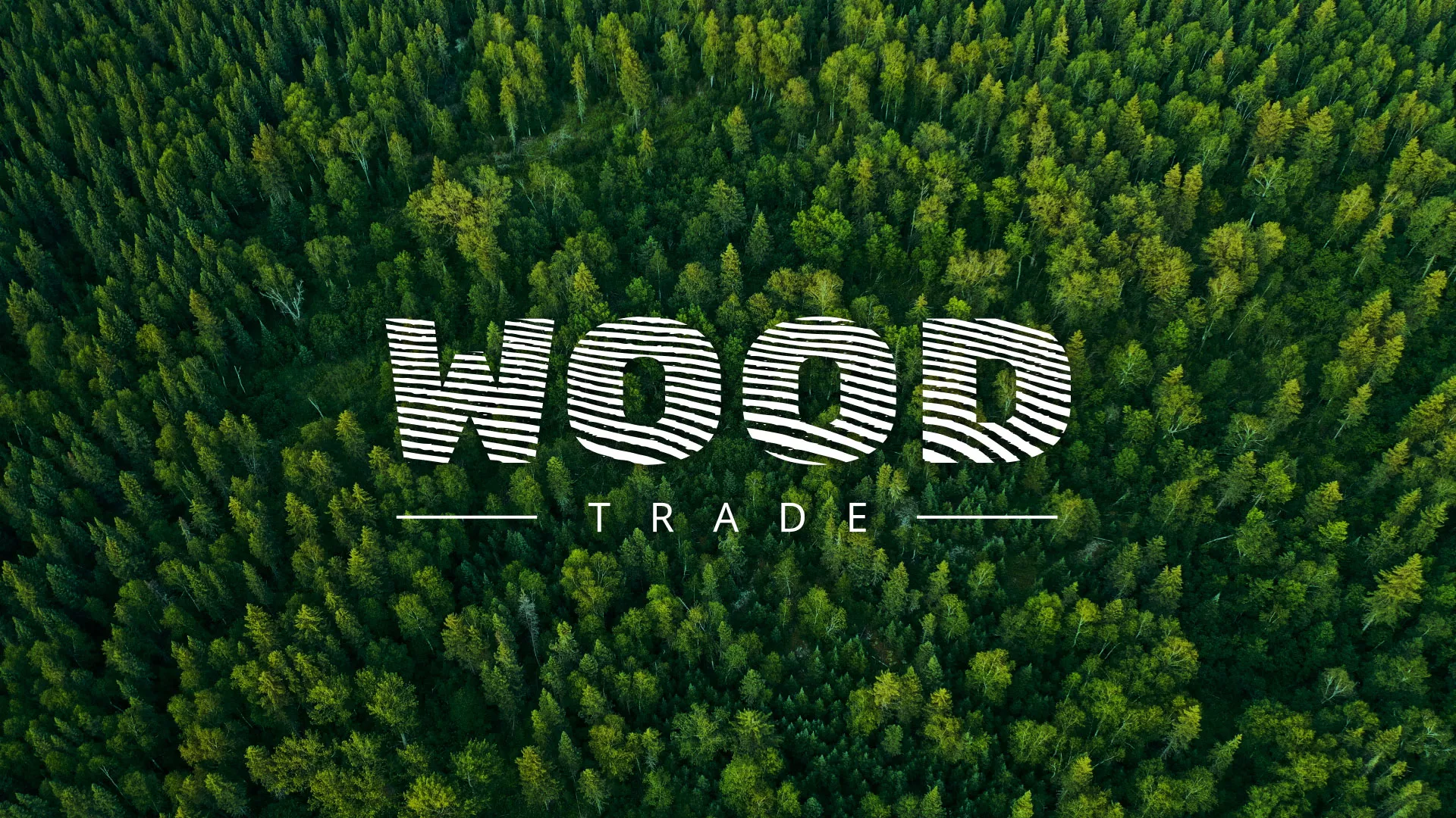 Разработка интернет-магазина компании «Wood Trade» в Боре